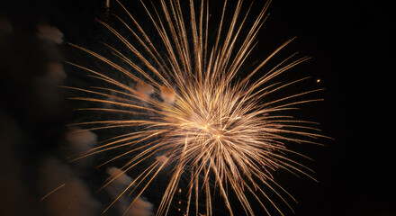 Obraz premium Golden Fireworks Burst in Night Sky