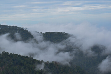Misty mountain views in tropical forests.