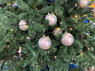 photo of a pine tree or Christmas tree along with lanterns or balls on the Christmas tree for Christmas and New Year celebrations with light roof background 