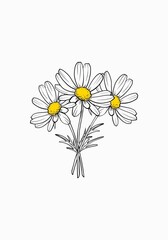 Isolated bouquet of daisies with yellow center on a white background. Black outline drawing is drawn by hand.