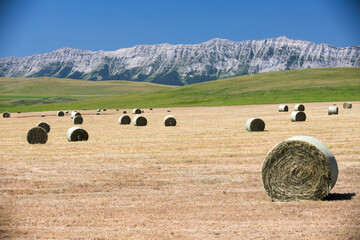 Alberta Agricultural Landscape Canadian Rockies