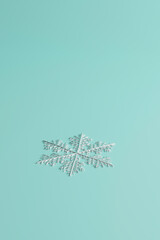 Delicate snowflake on pastel blue background in winter season.