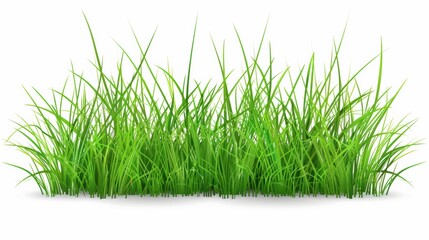 Obraz premium Vibrant Green Grass in the Freshness of Spring