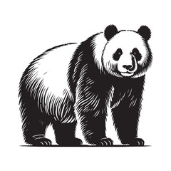 Captivating panda silhouette for versatile artistic uses - Panda black vector

