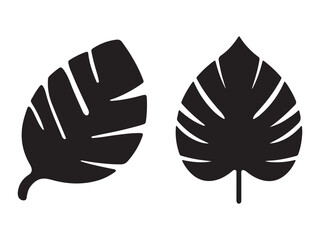 Two Tropical Leaf Silhouettes vector on a White Background