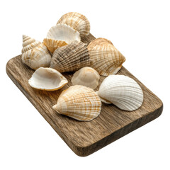 Seashells arranged on wooden plank, perfect for summer decor