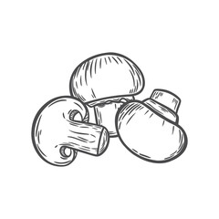 The image of mushrooms in the style of line drawing