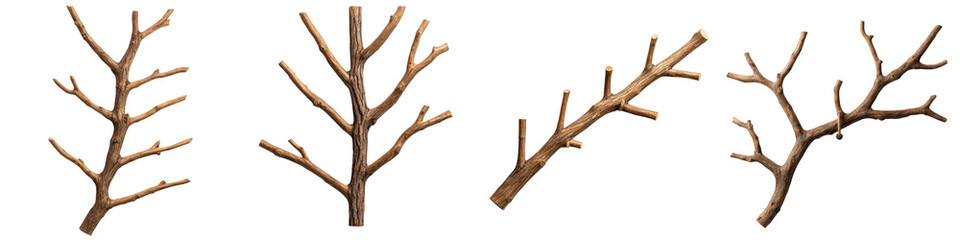wooden tree branches with minimalist abstract and silhouette design elements against a clean white background  Stylized natural decor for modern interior design and wall art