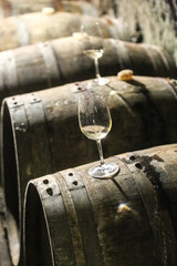 Wineglass in the cellar