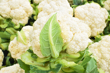 Green leafy cauliflower group background,Freshly Harvested Cauliflower Ready for Market Display texture, Lots of cauliflower in the box. Proper nutrition, vegetarianism