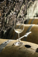 Winetasting in the cellar