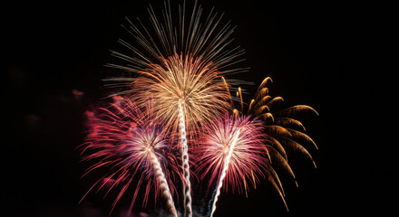Fototapeta premium Night Fireworks Display