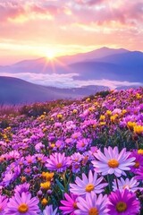 Fototapeta premium Purple and yellow flowers field during sunrise with a sea of clouds and mountains in the distance