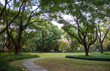 Green trees and lawns in the park