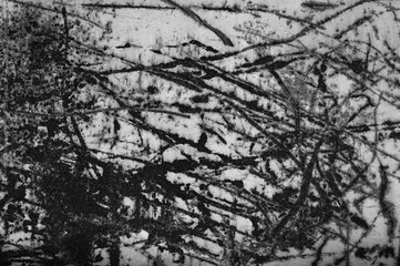 The photo shows a gray abstract background close-up