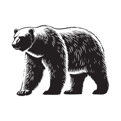 Bold polar bear silhouette for versatile digital designs - Polar bear illustration - minimallest polar bear vector
