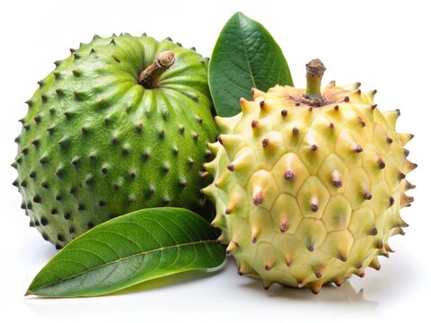 Fresh Soursop and Custard Apple Fruits Isolated on White Background - High-Resolution Stock Photo