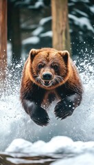 Fototapeta premium A bear leaps through snowy terrain, showcasing its power and agility in a natural setting.