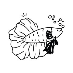 A beautiful betta fish with flowing fins swimming underwater