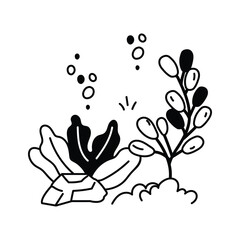 A collection of sea life including corals, shells, and plants underwater