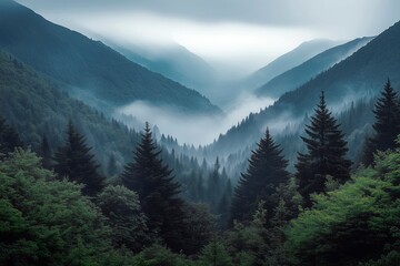 Fototapeta premium Misty morning in the alpine woods, hiking tourism advertising, adventure tour advertisement