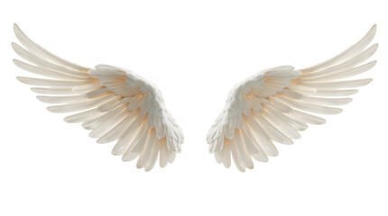 Obraz premium Angel Wings Cut Out Transparent Background PNG.