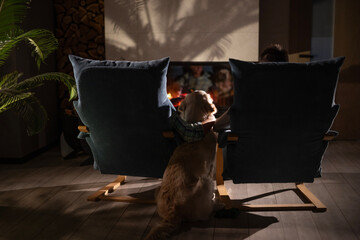 Fototapety na wymiar - Fototapeta24.pl