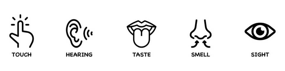 Human sense icons. Five human senses icons. Vision smell hearing touch taste senses fillings. Five fillings icons. Vector Illustration. Vector Graphic. EPS 10