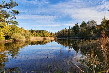 Idyllischer Waldsee  im Frühherbst in dem sich der blaue Himmel mit den malerischen Wolken spiegelt
