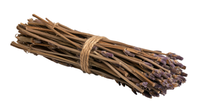 Dried lavender bundle tied with twine. transparent background