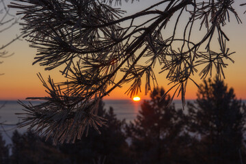 Winter sunrise on the river through the coniferous trees