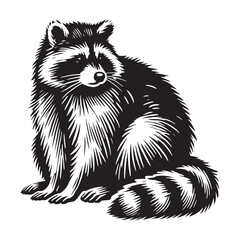 Majestic raccoon silhouette for digital and print applications - Raccoon black vector
