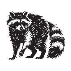 Obraz premium Detailed raccoon silhouette for artistic digital projects - Raccoon black vector 