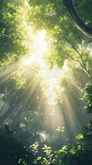 Sunbeams Filtering Through Lush Green Forest Canopy Breathtaking Digital Painting of Tranquil Nature Scene