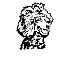 line art  poodle