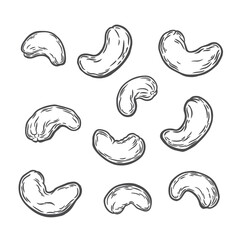 Cashew nuts on a white background