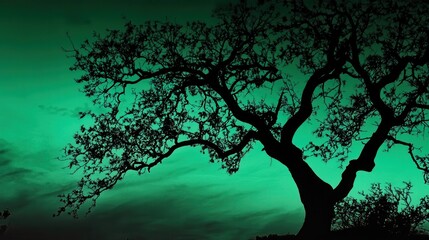 Silhouette of a Majestic Oak Tree Against a Vibrant Teal Sunset Sky Dramatic Nature Photography