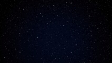 araffes in the snow at night with a full moon in the background