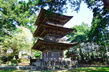 春の乙宝寺 三重塔（新潟県）