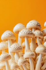 A bunch of mushrooms are growing on a yellow background