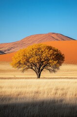 Naklejka premium A tree stands in a field of tall grass