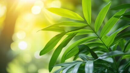 Vibrant Green Tropical Leaves in Sunlight Close-Up Nature Photography for Wellness, Sustainability, and Spring Themes