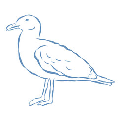 Line Art Illustration of Seagull. Vector Graphic.