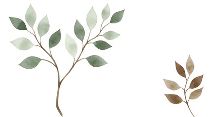 set of leaves isolated