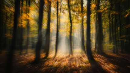 Obraz premium Enchanting Autumn Forest Sunbeams Through Motion Blurred Trees, Golden Fall Foliage, Mystical Woodscape