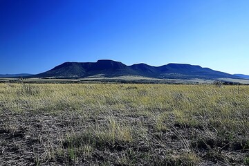Mesa Landscape: Serene Grassland Under a Vast Blue Sky