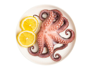 Fototapeta premium Octopus with lemon slices on white plate with transparent background