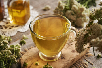 Herbal tea in a glass cup with fresh yarrow or Achillea millefolium flowers on a wooden table