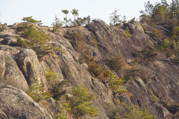 兵庫県・加西市善防古法華自然公園、馬の瀬