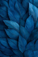 Obraz premium soft texture of agave attenuata leaf in blue tones